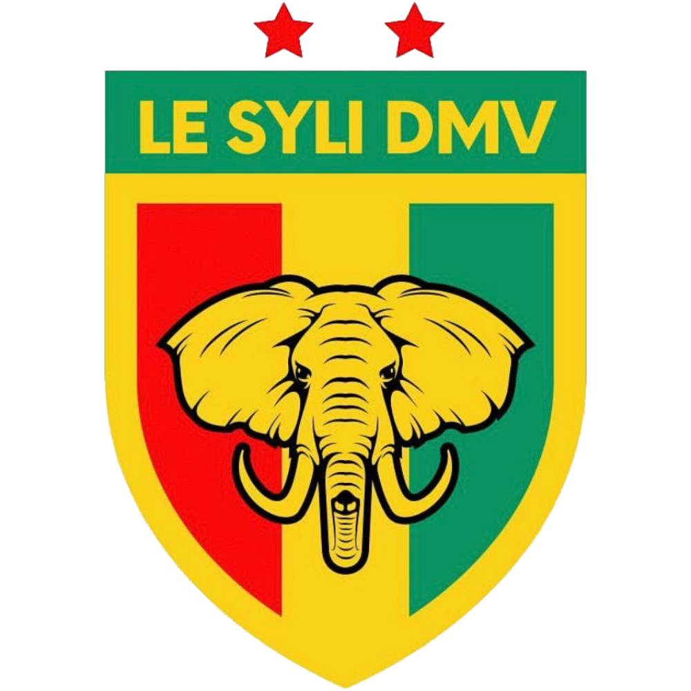 le-syli-fc.png